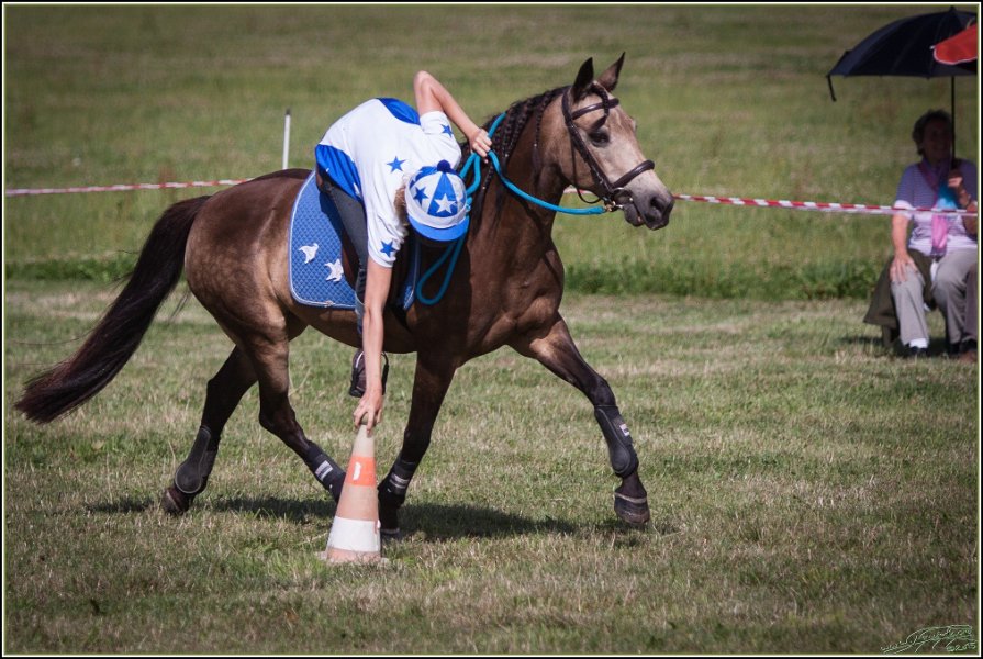 Mounted Games 323